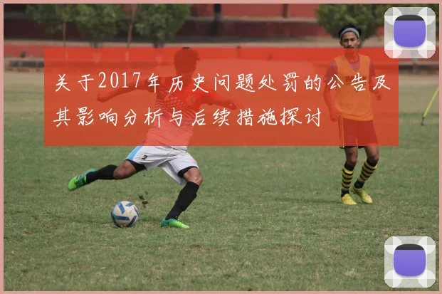 关于2017年历史问题处罚的公告及其影响分析与后续措施探讨