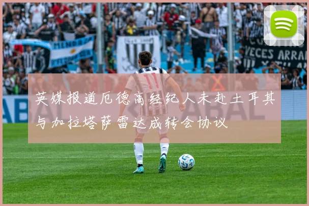 英媒报道厄德高经纪人未赴土耳其与加拉塔萨雷达成转会协议